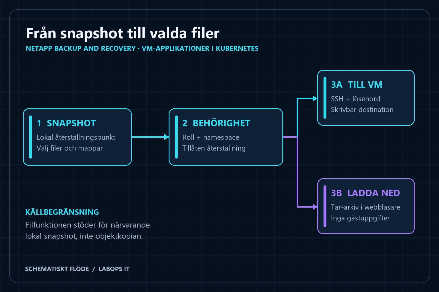Valda filer går från lokal snapshot via behörighetskontroll till en virtuell maskin eller nedladdning som tar-arkiv.